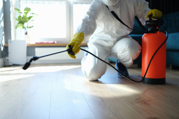 Trusted Sewage Cleanup service in Eldorado, OH - Four Month Blood Cleanse